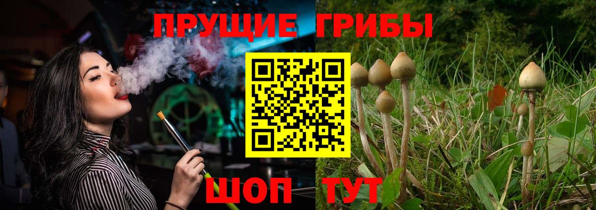 Псилоцибиновые грибы мухоморы Стерлитамак