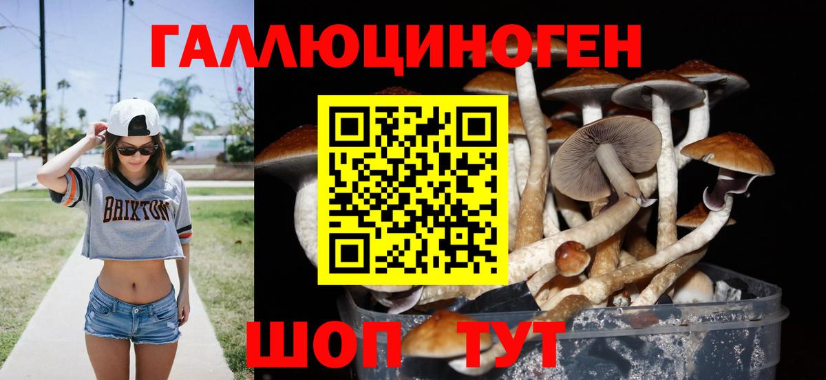 Стерлитамак  Галлюциногенные грибы GOLDEN TEACHER  Вход с VPN 